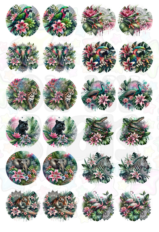 Tropical Animals Car Coaster Pack