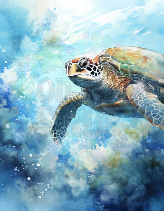 Turtle