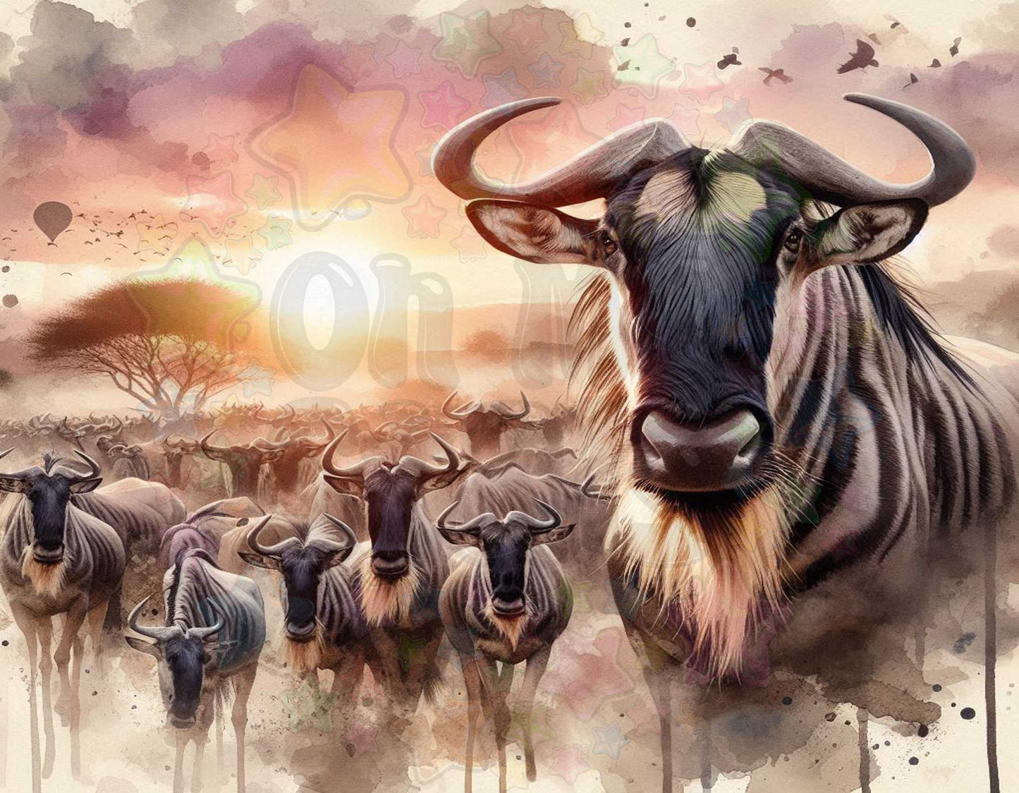 Wildebeest