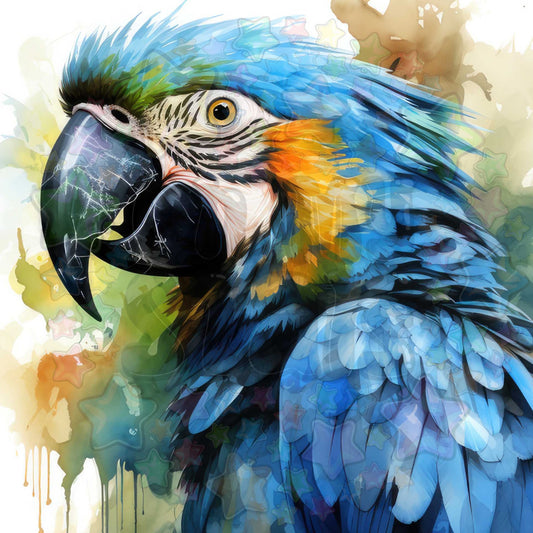 Blue Macaw