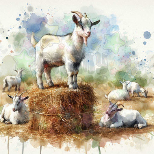 Kid Goats on Square Bale
