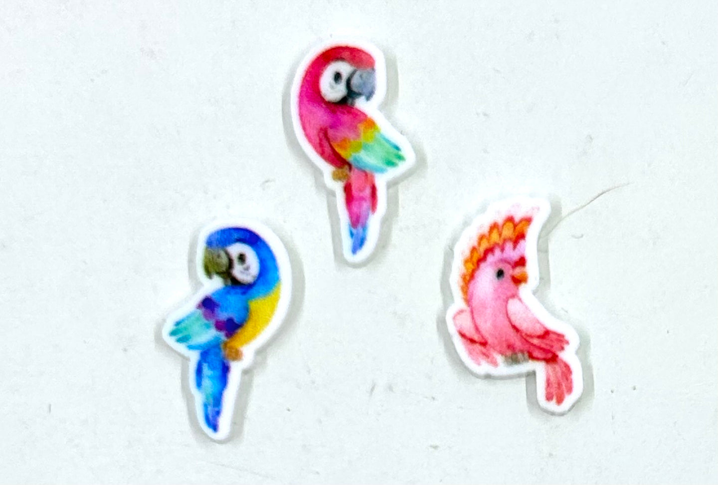 Tropical Parrots studs