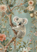 Load image into Gallery viewer, Koala
