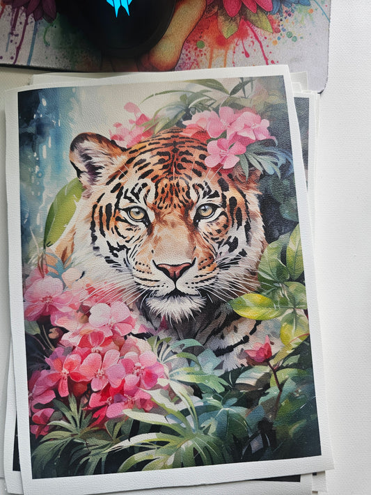 A5 Tiger