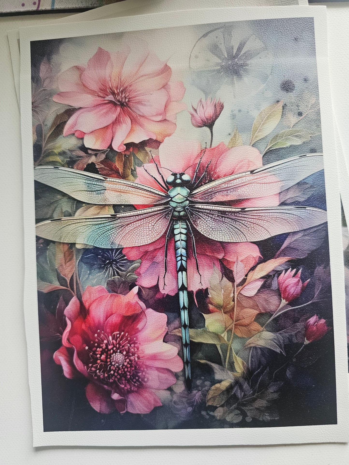 A5 Dragonfly line at top