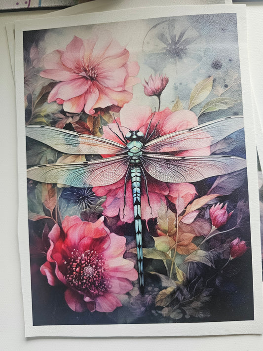 A5 Dragonfly line at top