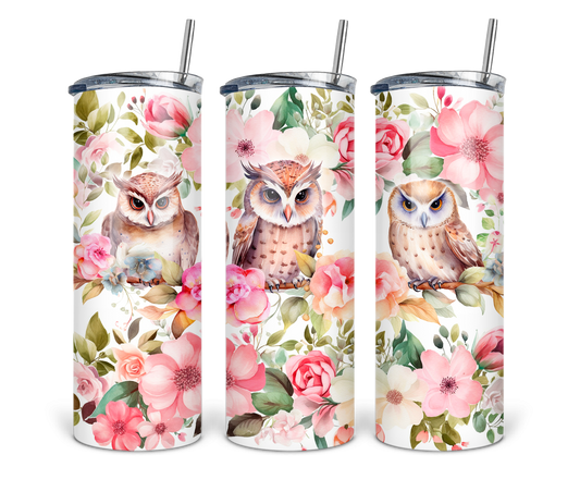 Owls